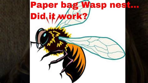 snopes paper bag fake hornet nest|paper bag wasp hat trick.